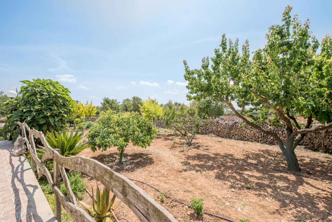 Ferienhaus Finca Son Sole *